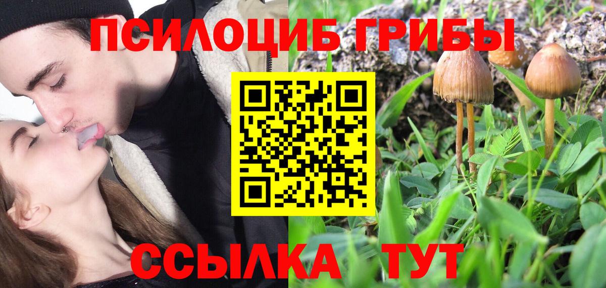 Лесной  Галлюциногенные грибы прущие грибы  Вход с VPN 