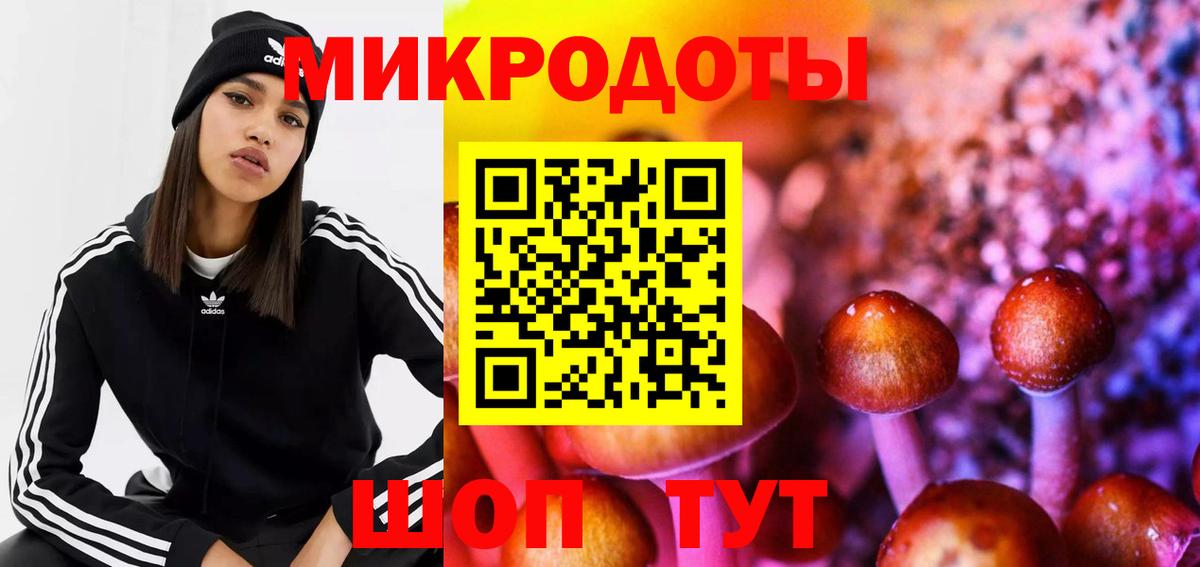 Галлюциногенные грибы GOLDEN TEACHER Лесной